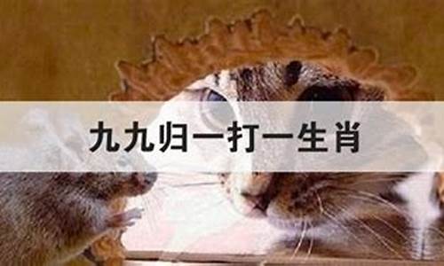 九九归一是那个生肖_九九归一打一生肖是什么动物猪