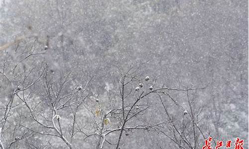 阴雨绵绵天降雪打一生肖_阴雨绵绵到底是什么生肖