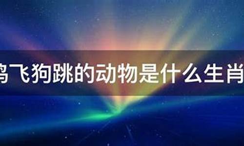 鸡飞狗跳打一生肖是羊吗为什么呢啊_鸡飞狗跳是什么生肖打