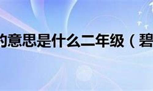 碧空如洗造句二年级的_二年级用碧空如洗写一句话