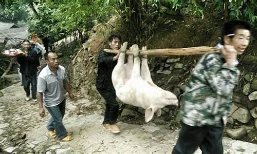 猪狗双人抬打一生肖_猪双狗独