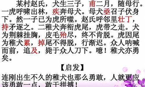 关于成语故事的文言文_关于成语故事的文言文有哪些