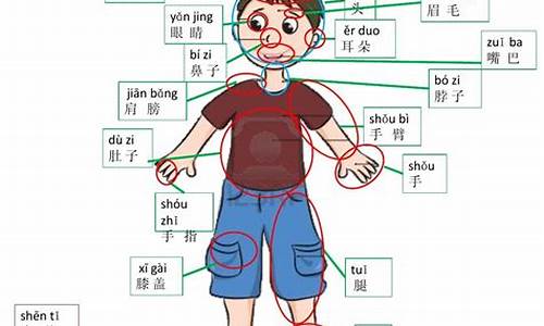 含身体部位名称的四字成语_含身体部位名称的四字成语有哪些