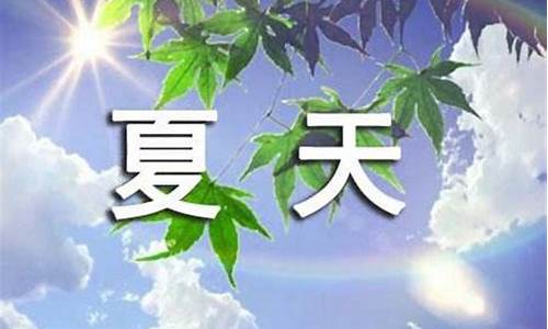 写夏天的四字成语