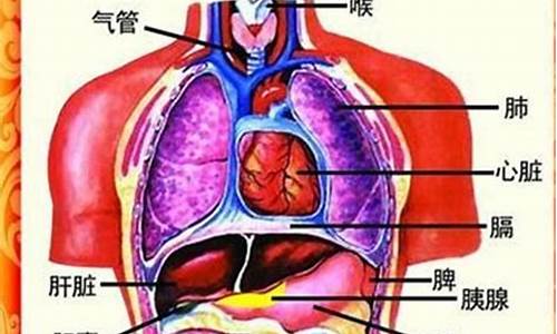 与内脏有关的成语_与内脏有关的成语有哪些